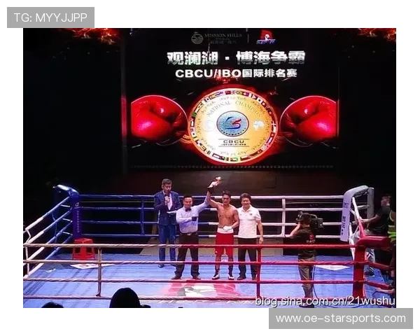 国际拳击联盟在裁判管理中设立监督委员会与职业发展通道，国际拳击组织